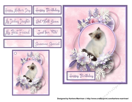 Pretty Pink Pussy Card Topper & Gift Tag