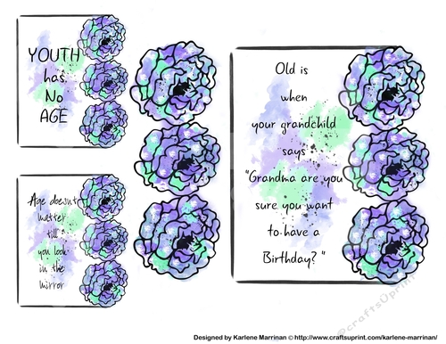 Inspirational Card Topper & 2 Gift Card Toppers - Age Doesnt Matter