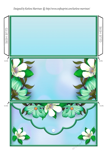 Floral Edge Voucher/Money Wallet/Pocket Envelope - Aqua