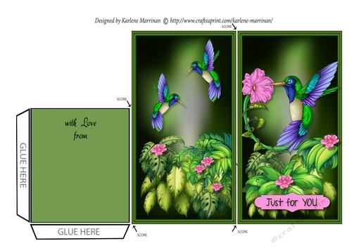 Jungle Series - Hummingbird Voucher/Money Wallet/Pocket Envelope 