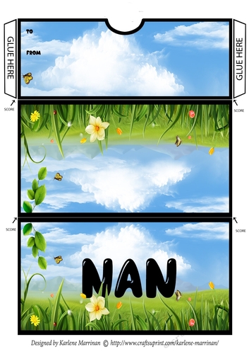 Out in the Sunshine Voucher/Money Wallet/Pocket/Envelope - Nan