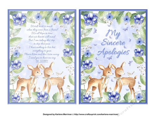 Im Sorry to my Friend Card Front & Insert 