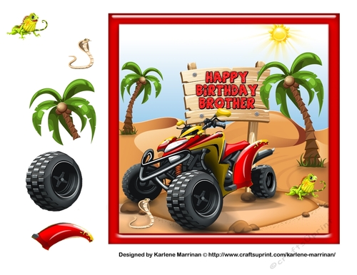 Brother - Quad Bike Birthday Bashing