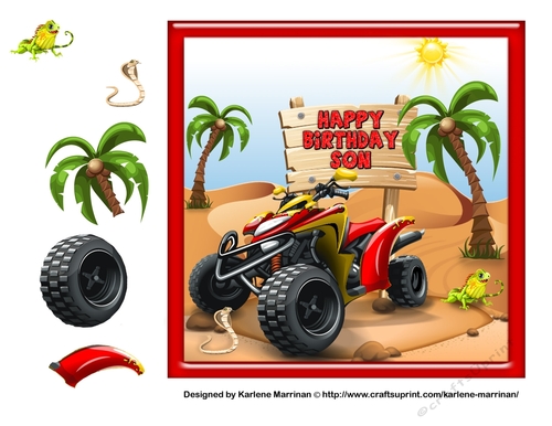 Son - Quad Bike Birthday Bashing