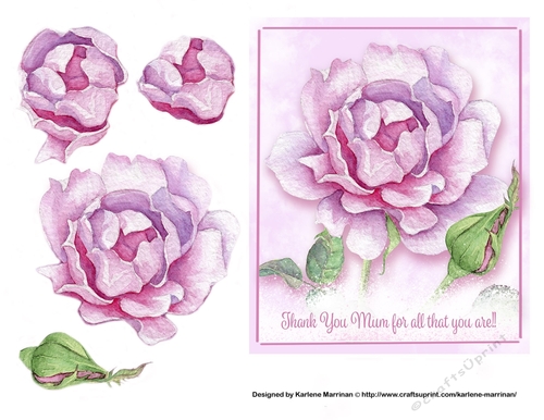 Soft Watercolour Rose Card Topper