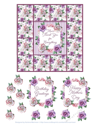 Spring Bike Ride Card Topper