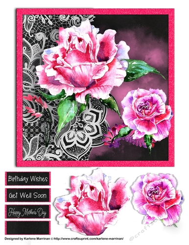 Glorious Rose Black & Lace Card Topper