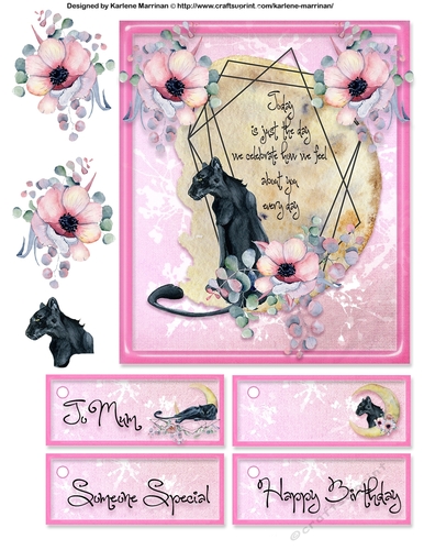 Pretty Pink with Panther Card Topper