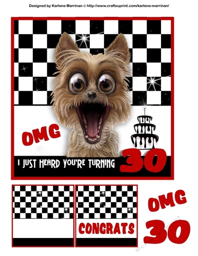 Its a Shock Birthday Card Topper - 30 Years Old