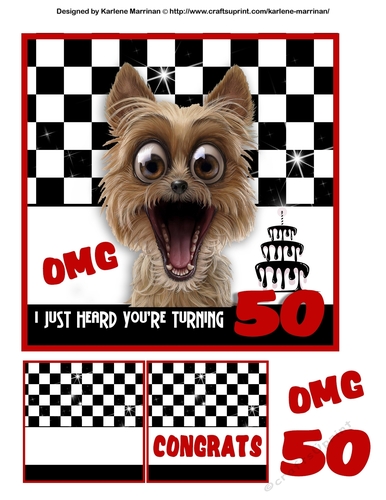 Its a Shock Birthday Card Topper - 50 Years Old