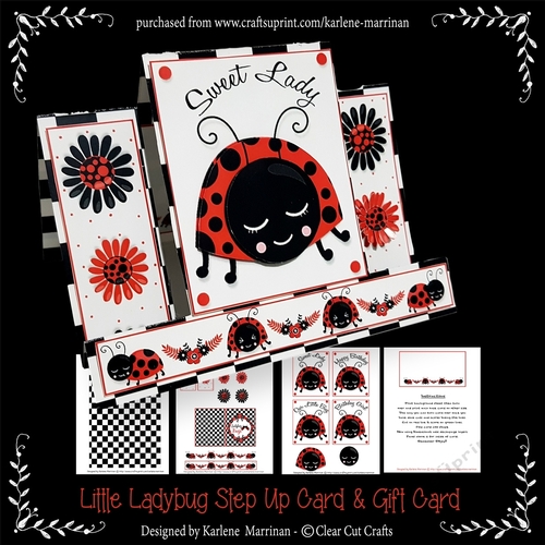 Our Little Bug Centre Step Up Card