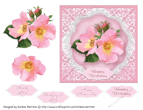 Pink & Lace Framed Card Topper