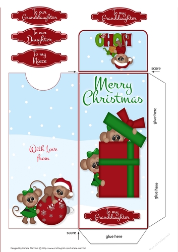 Snowy Monkey Present Gift/Money/Voucher Wallet/Pocket/Envelope