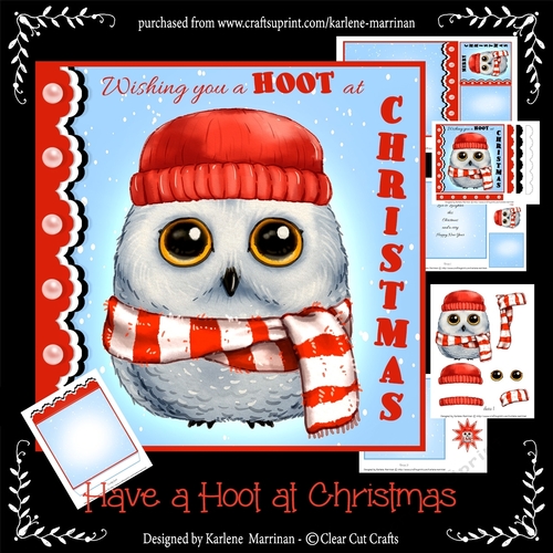Have a Hoot of a Christmas Card Kit