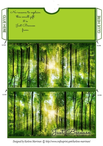 Just Because Voucher/Money/Gift Wallet/Pocket Envelope
