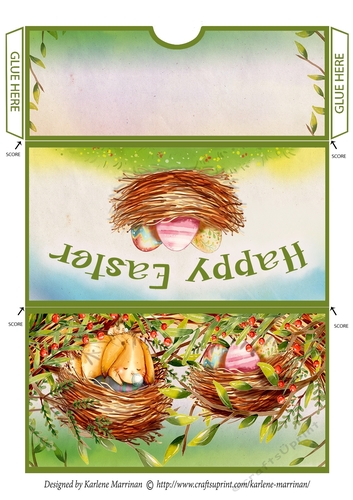 Bunny in a Nest Easter Money/Gift/Voucher Wallet/Pocket/Envelope