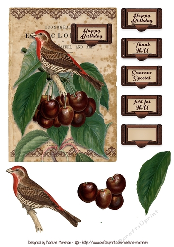 Vintage Birds & Berries Card Topper