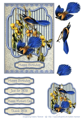 Blue Bird Card Topper with Gift Tag