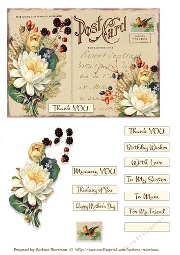 Postcard Florals - Set 1 Card Toppers