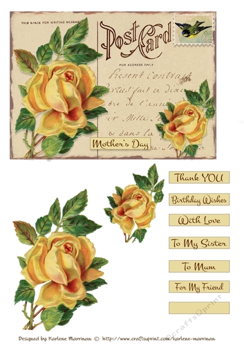 Postcard Florals - Set 3 Card Toppers