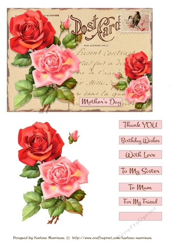 Postcard Florals - Set 4 Card Toppers