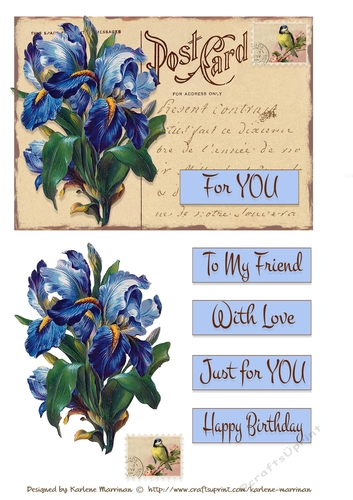 Postcard Florals - Set 6 Card Toppers
