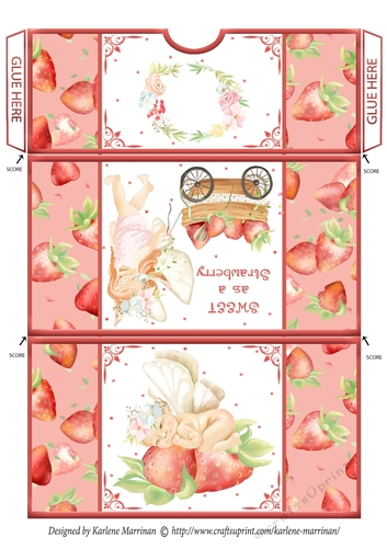 Strawberry Fairy Gift/Voucher/Money Wallet/Pocket/Envelope