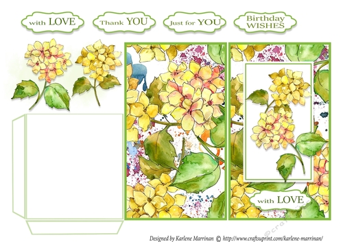 Floral Fever Gift/Voucher/Money Wallet/Pocket/Envelope Design 3