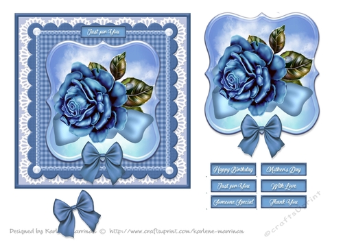 Blooms on Bordered Lace Card Topper - Design 7