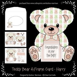 Harry  - A Frame Floral Teddy Bear Card - Baby Boy