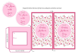 Spring Floral Gift Voucher/Money Wallet/Pocket - Pink