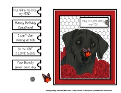 Cross-eyed Labrador Card Topper
