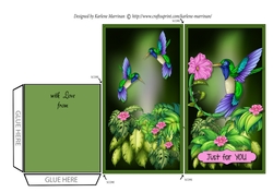 Jungle Series - Hummingbird Voucher/Money Wallet/Pocket Envelope