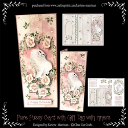 All-in-One Fold Pure Pussy & Gift Card