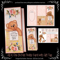 All in One Teddy Card with Small Gift Card