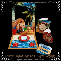 Forever Framed Easel Card - Harry Hedgehog