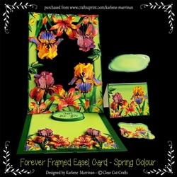 Forever Framed Easel Card - Spring Colour