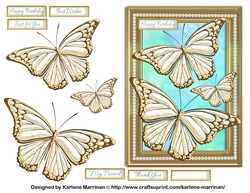 Golden Butterfly on Winter Colour