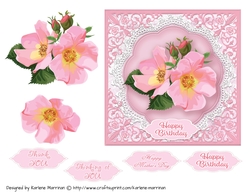 Pink & Lace Framed Card Topper