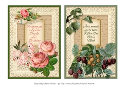 Duo of  Florals Vintage & Lace Card Topper- set 2