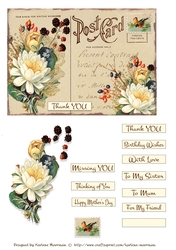 Postcard Florals - Set 1 Card Toppers