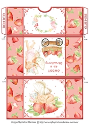 Strawberry Fairy Gift/Voucher/Money Wallet/Pocket/Envelope