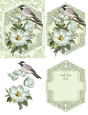 Every Occasion Card Topper