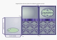Ribbon Sash Congratulations Gift Voucher/Money Wallet/Pocket - Purple