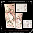 All-in-One Fold Pure Pussy & Gift Card
