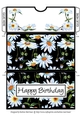 Spring Floral Pocket Series - F - Gift/Voucher/Money/Wallet/Envelopes