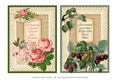 Duo of Florals Vintage & Lace Card Topper- set 2