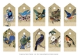 Vintage Birds Tags, Journalling, Embellishments