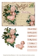 Postcard Florals - Set 2 Card Toppers