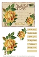 Postcard Florals - Set 3 Card Toppers